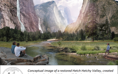 Restore Hetch Hetchy’s new website and a few questions