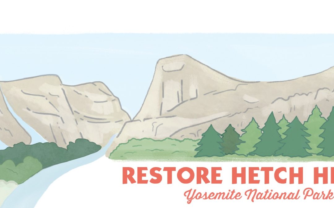 Please consider a year-end contribution to Restore Hetch Hetchy