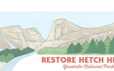 Please consider a year-end contribution to Restore Hetch Hetchy