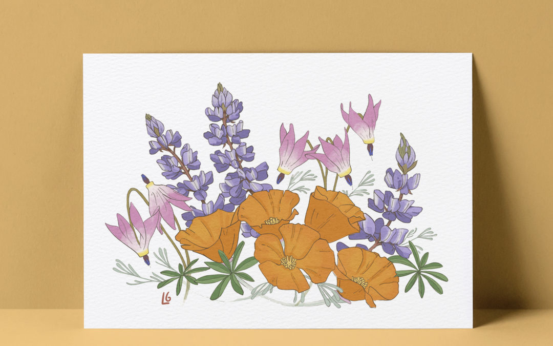 Notecards with Art by Lesley Goren