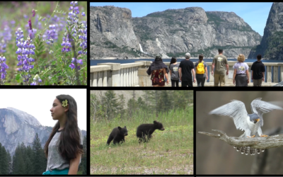 For a Second Yosemite: Last Chance to Support Restore Hetch Hetchy  in 2023