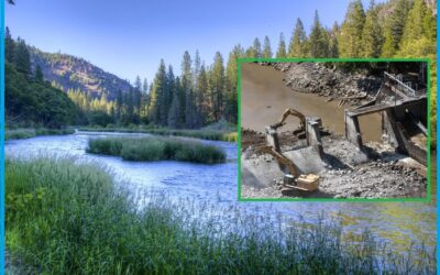 Supporting Restore Hetch Hetchy – a few reminders