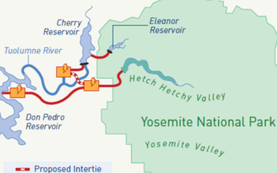 The Cherry Solution – A Call For Restoration