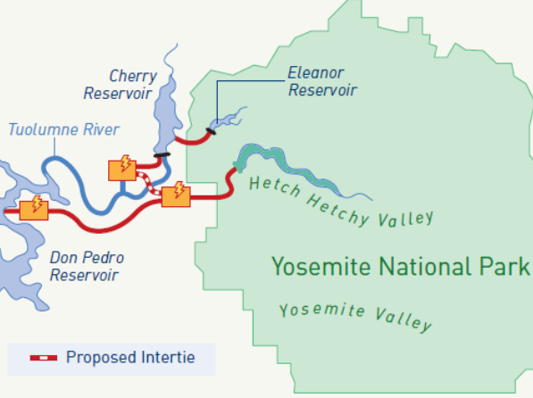 The Cherry Solution – A Call For Restoration