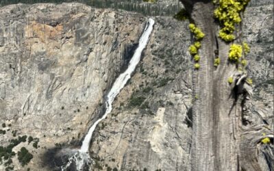 Mecia’s Picture – A View All Too Rare