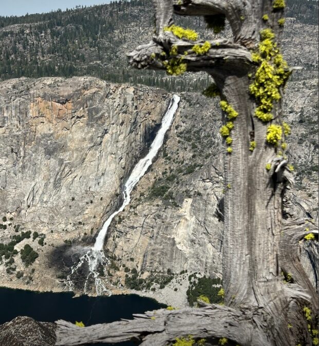 Mecia’s Picture – A View All Too Rare